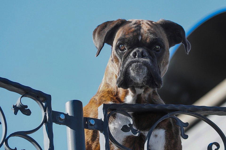 11 tips to improve your home security