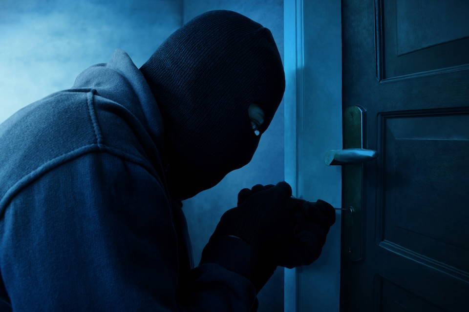The evolution of intruder alarms