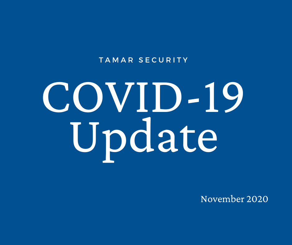COVID-19 Update: November 2020